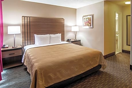 1 King Bed, Business Room, Suite, Nonsmoking