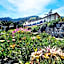 Albergo Suisse Bellevue