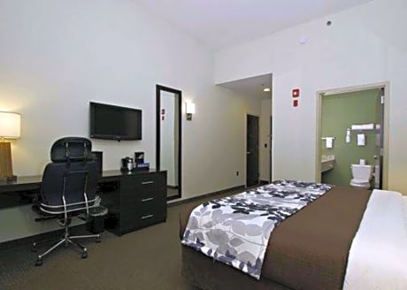 1 King Bed, Suite, No Smoking, Accessible Room