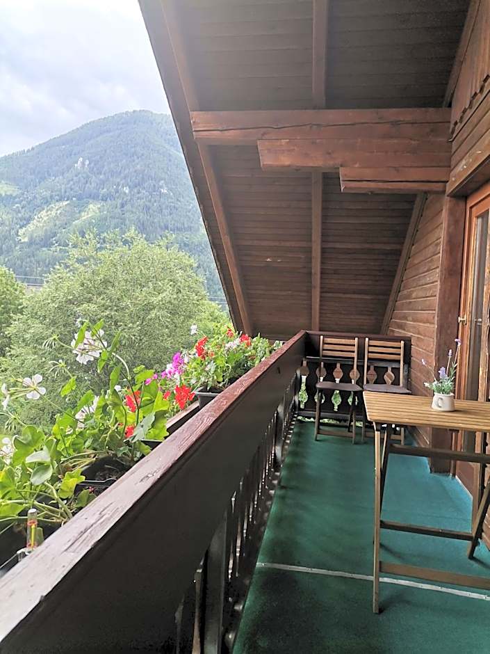 Haus Bergblick am Grünen See