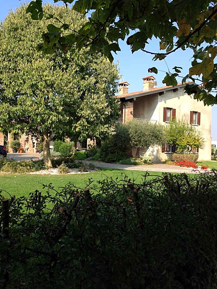 Photo 1 of 50 of Le Rondini