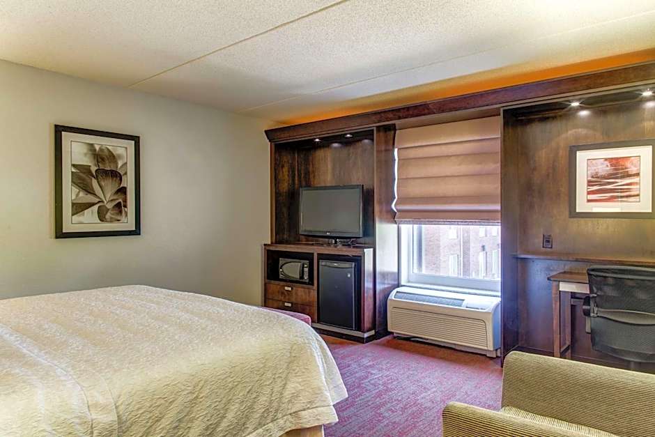 Hampton Inn By Hilton And Suites Detroit/Airport-Romulus