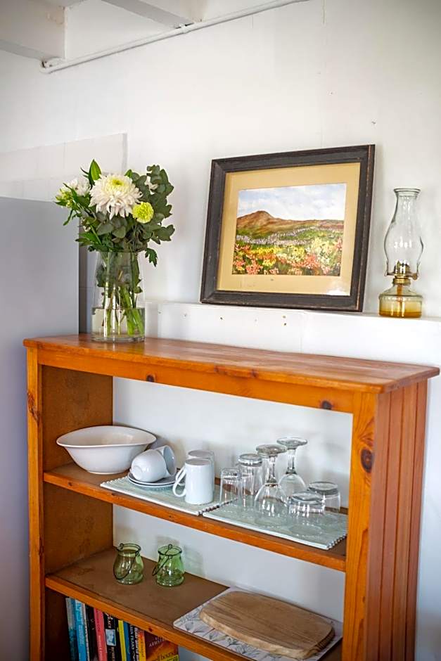 Bosky Dell on Boulders Beach