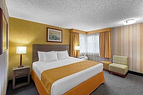 1 King Bed, Non-Smoking, High Speed Internet Access, Microwave And Refrigerator, Coffee Maker, Iron 