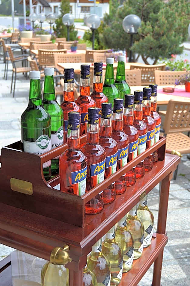 Mountain Lodge Sedrun