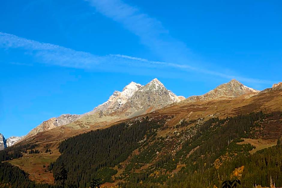 Familienhotel Alpina