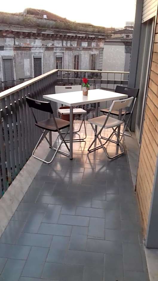 Alexander hostel