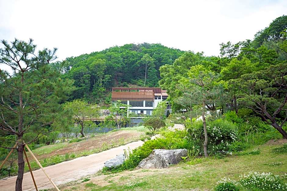 Healience Village