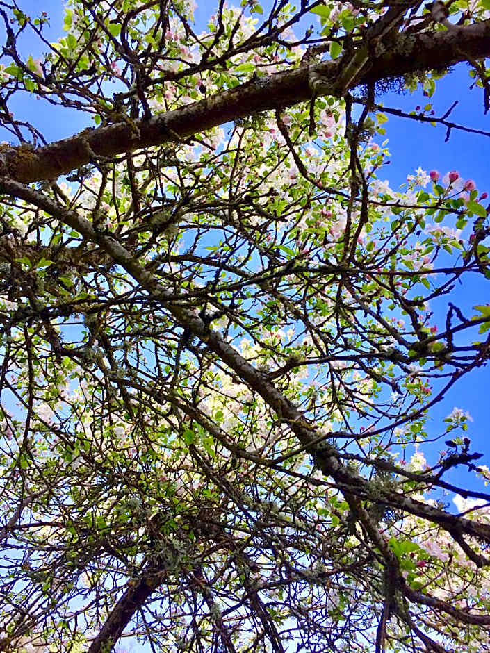 Hotel Rural Nova Ruta