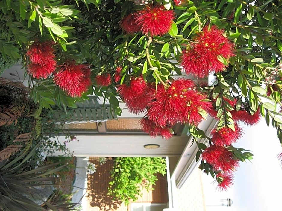 252 Beachside Motels & Holiday Park