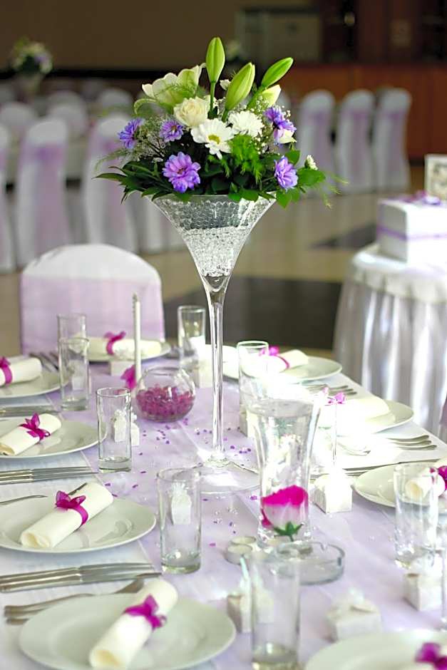 Hotel Dragović Smederevo