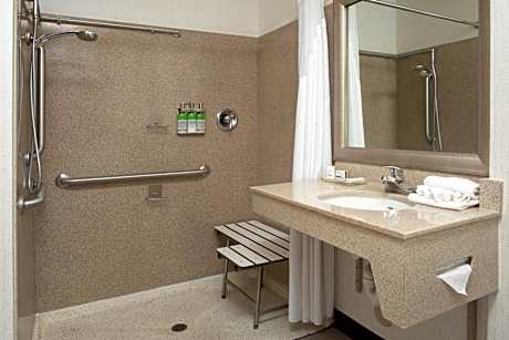 Queen Room with Accessible Roll In Shower - Non-Smoking