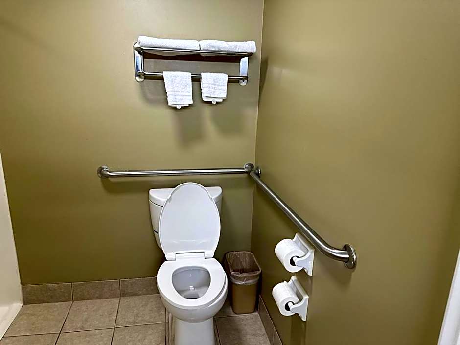 Rodeway Inn Stone Mountain