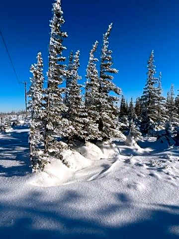 Bears Den Guest House II