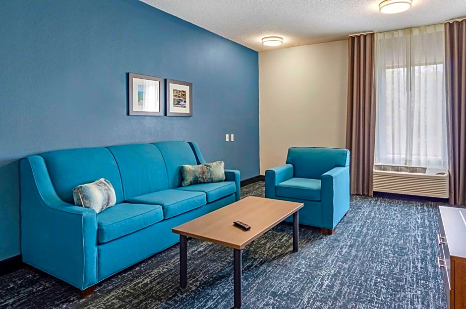 Comfort Inn & Suites Troutville - Roanoke North / Daleville