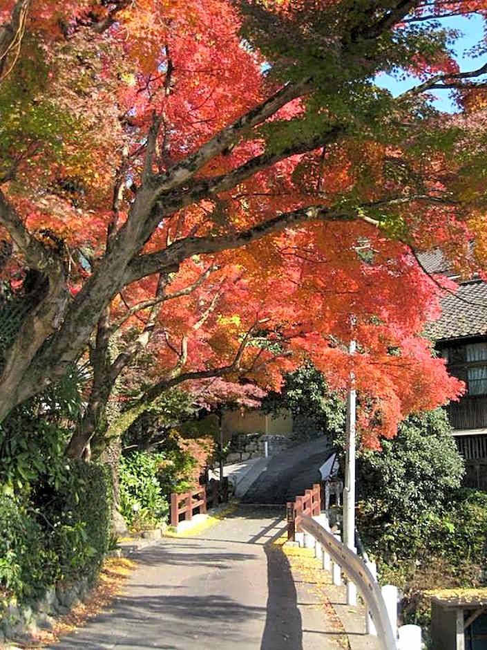 Akizuki Spa Ryokan Seiryuan