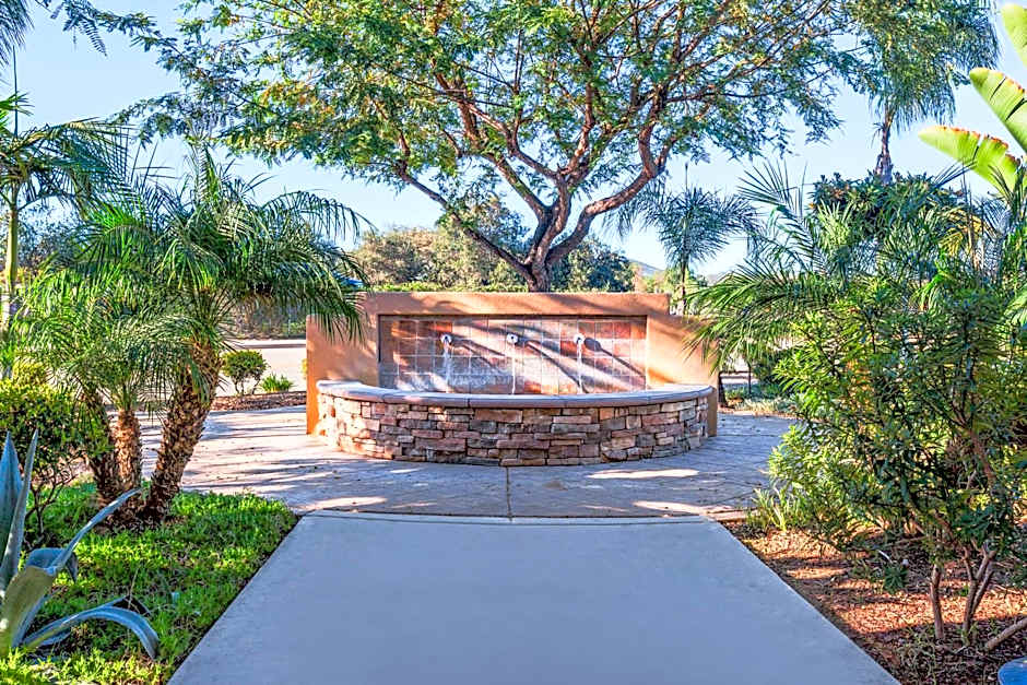 Hampton Inn By Hilton San Marcos