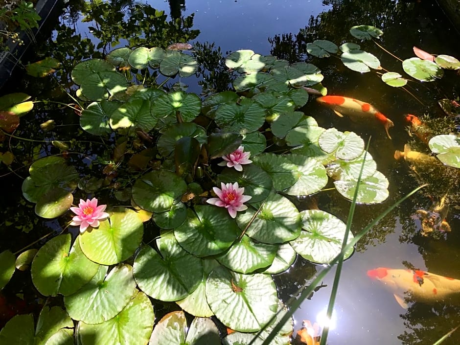 Les rêves d'Angèle