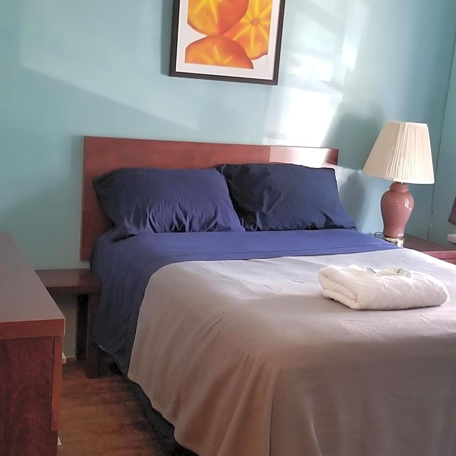 Hamtramck Hostel