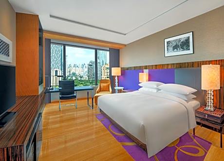 R Discoveries, Guest Room, 1 King