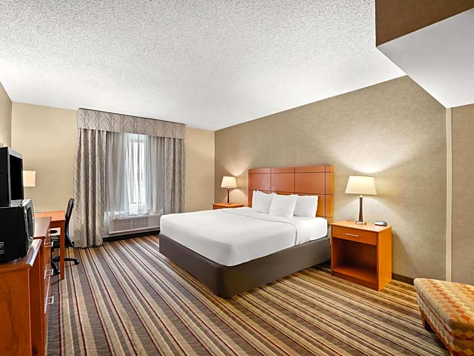 Comfort Inn Metro Airport Romulus