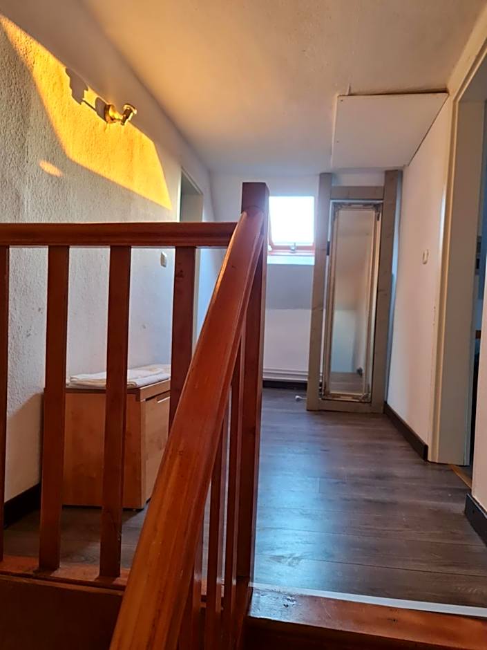 Schönste Lage am Rhein in unmittelbarer Stadtnähe, B & B