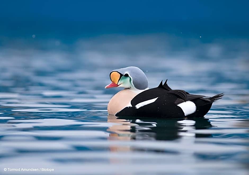 Vardø Hotel by Destination Vardø