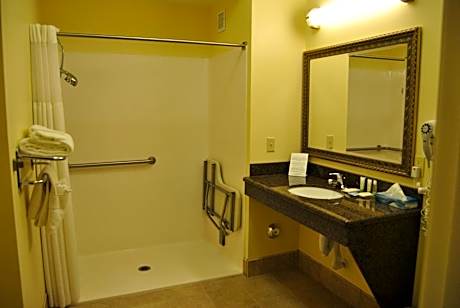Suite - Disability Access/ Roll in Shower - Non Smoking