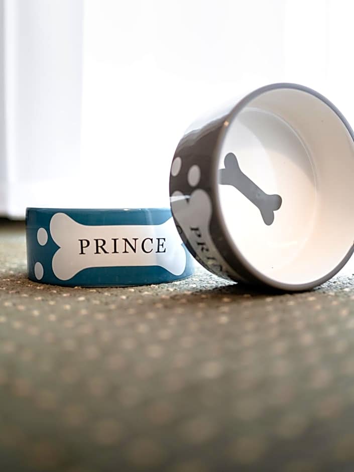 Hotel Kotarz Spa&Wellness