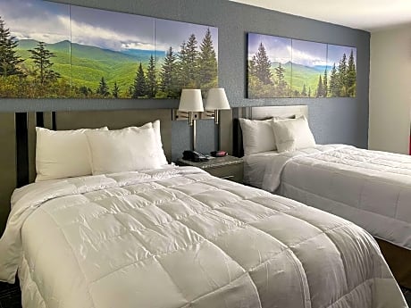 Standard Double Room with Two Double Beds - Non Smoking