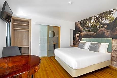 Deluxe Double Room with Castle View