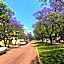 Riverview on Mount Street