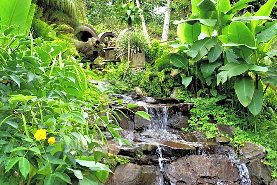 Finca Hamburgo La Ruta del Cafe