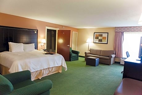 1 King Bed Studio Suite W/Sofabed Nonsmoking