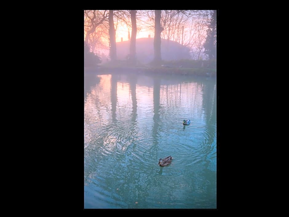 Péniche Kapadokya Gîte insolite sur le canal du Midi