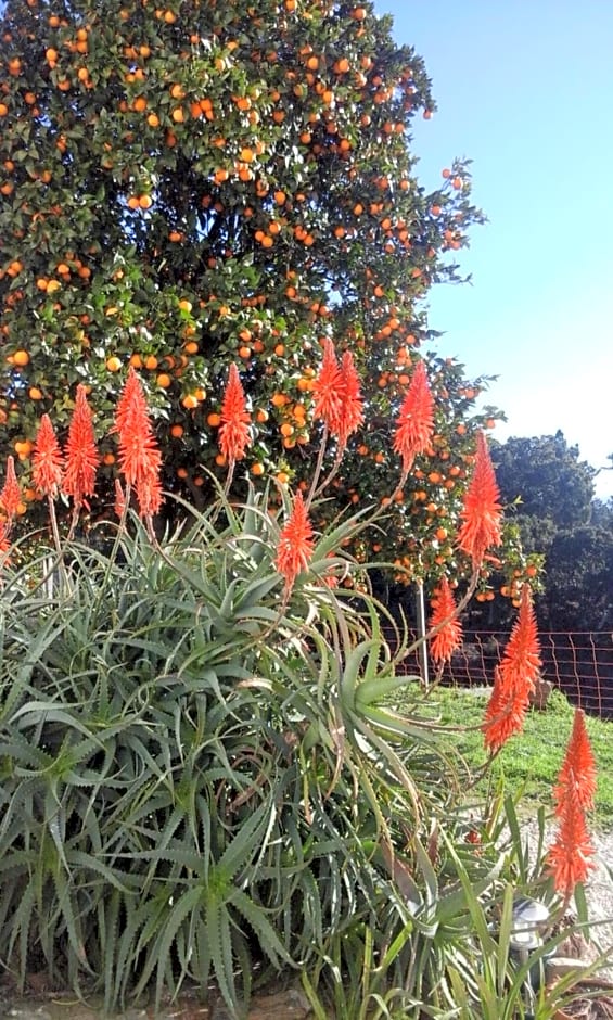 Quinta Quatro Ventos