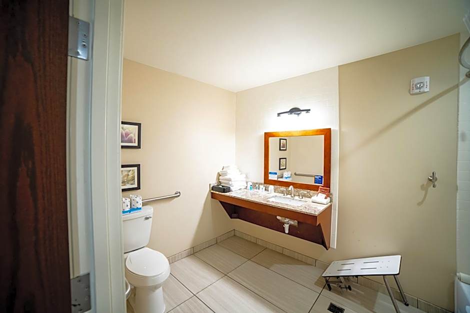 Comfort Suites University