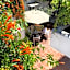 Casa Canario Hostel