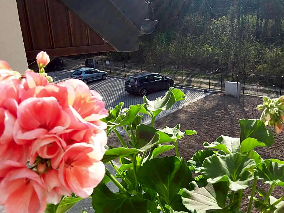 Dworek Akacja uslugi hotelarskie