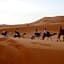 Desert Camel Trekking Camp