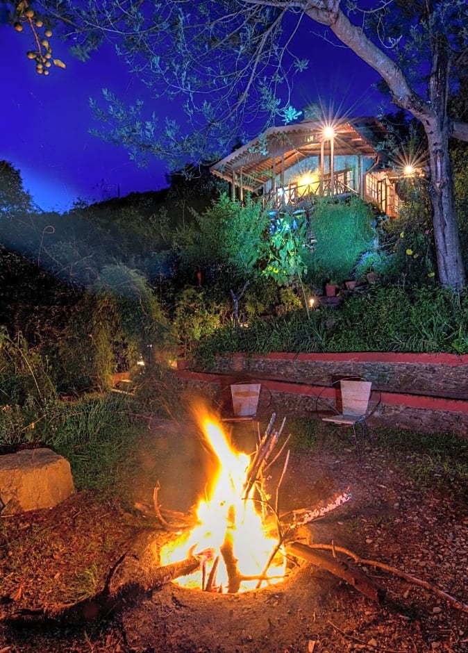 Jungle Lore Birding Lodge