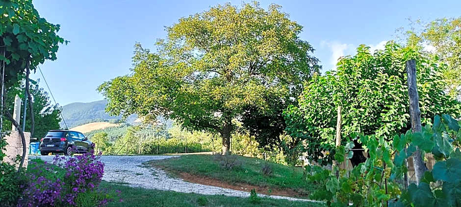 Dolcedorme del Pollino