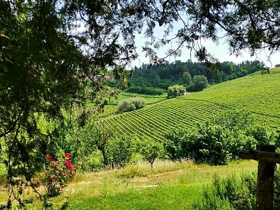 Cascina Valtignosa Camere Con Vigna