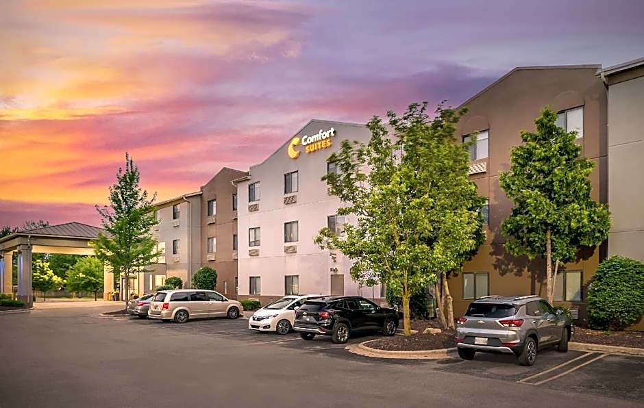 Comfort Suites Auburn Hills-Detroit