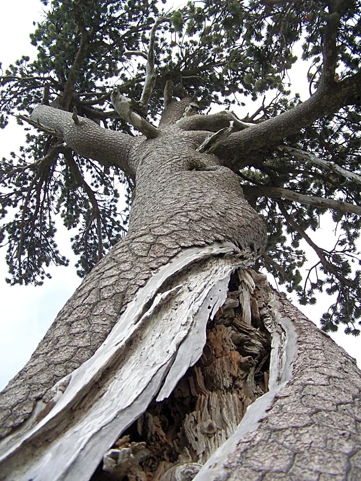 Tana Libera Tutti 1 Nature, Yourself, Love