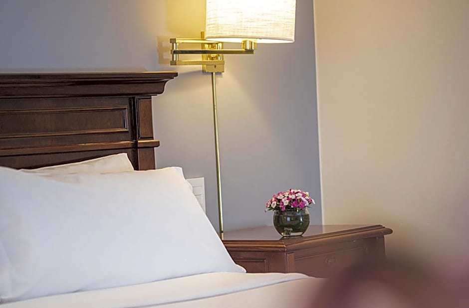 Cyan Americas Towers Hotel