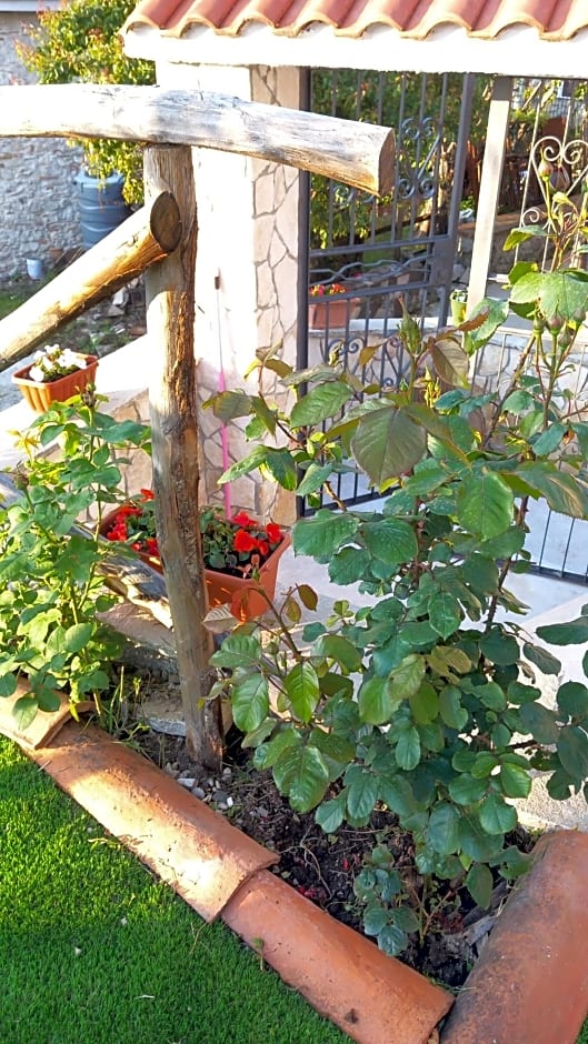 B&b Diamante and home restaurant