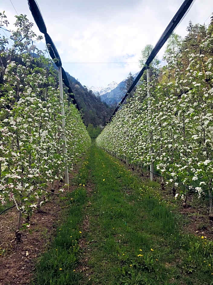 Tannerhof Bed & Breakfast