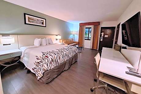 1 King Bed Non-Smoking