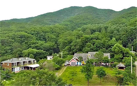 Gangwon Gombaeryeong Evergreen